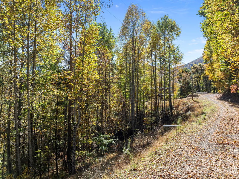 Lots 61 and 62 Wildwood Dr, Burnsville, NC 28714