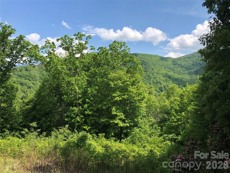 Lots 61 and 62 Wildwood Dr, Burnsville, NC 28714