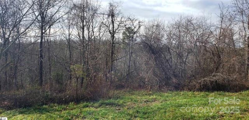 00 Lockhart Cir, Landrum, SC 29356