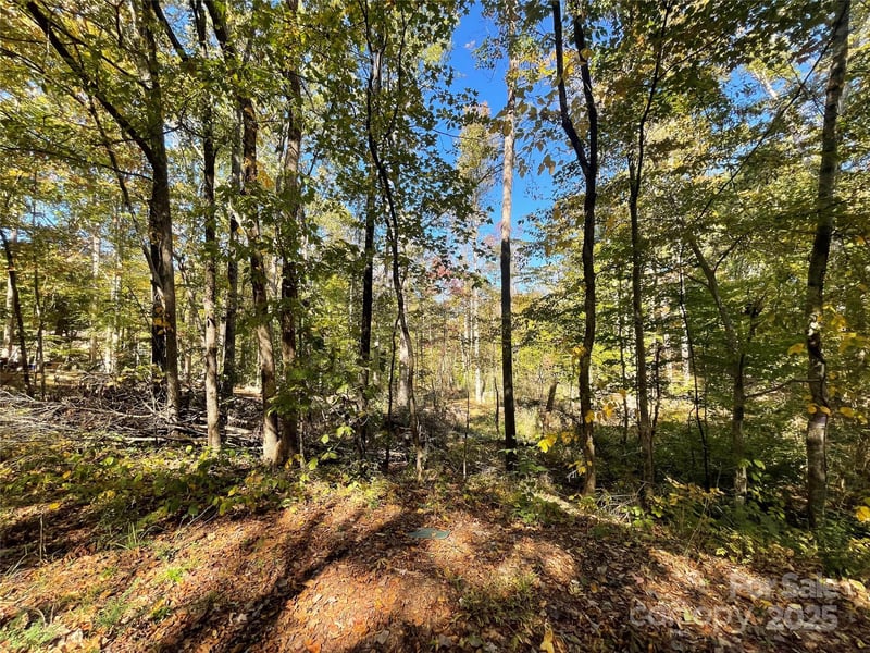 00 Heather Ln, Mount Holly, NC 28120