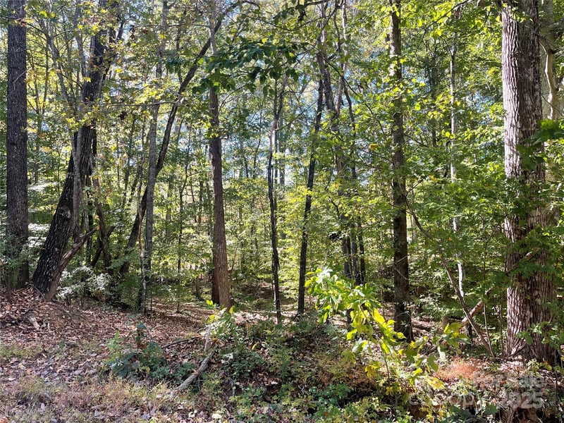237 Lamplighter Ln, Mount Holly, NC 28120