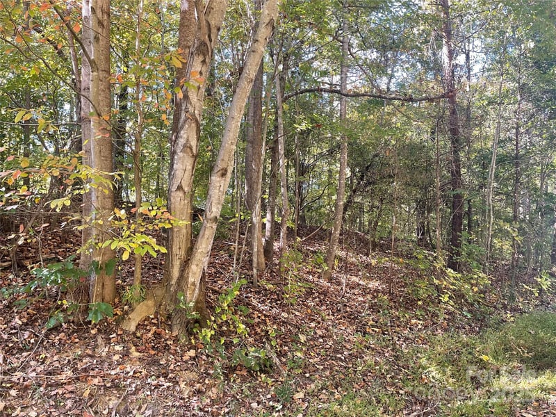 237 Lamplighter Ln, Mount Holly, NC 28120