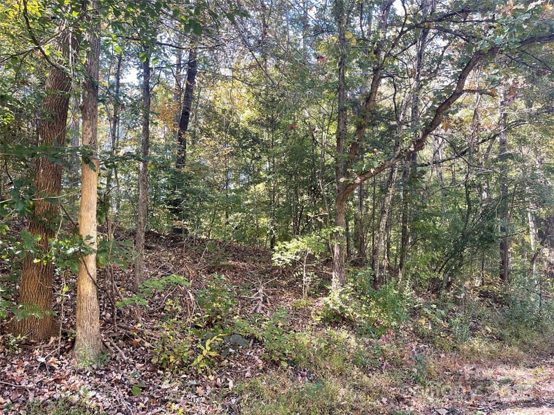 237 Lamplighter Ln, Mount Holly, NC 28120