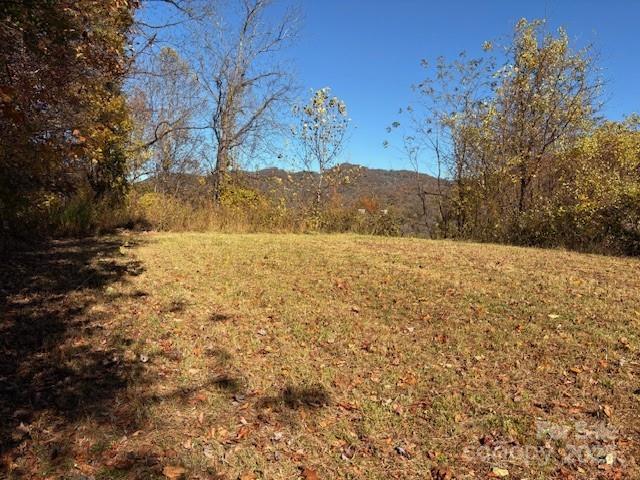 Lot 4 March Hillside Ct, Waynesville, NC 28785