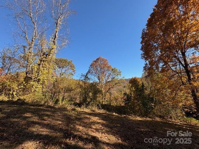 Lot 4 March Hillside Ct, Waynesville, NC 28785