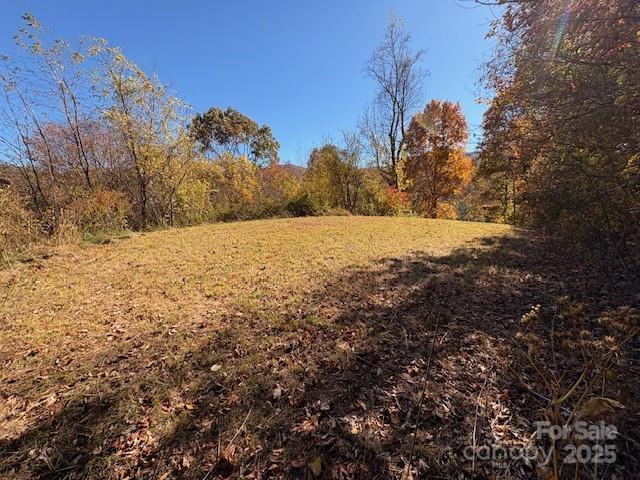 Lot 4 March Hillside Ct, Waynesville, NC 28785