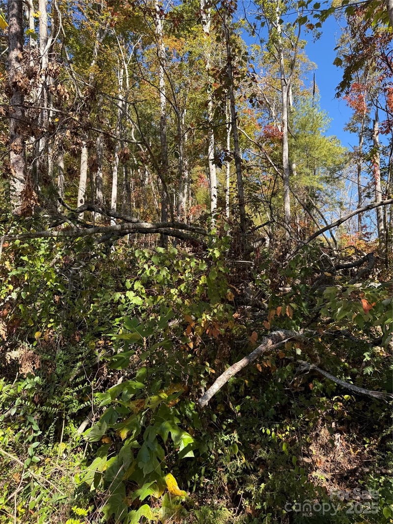 202 Lyndhurst Dr, Hendersonville, NC 28791