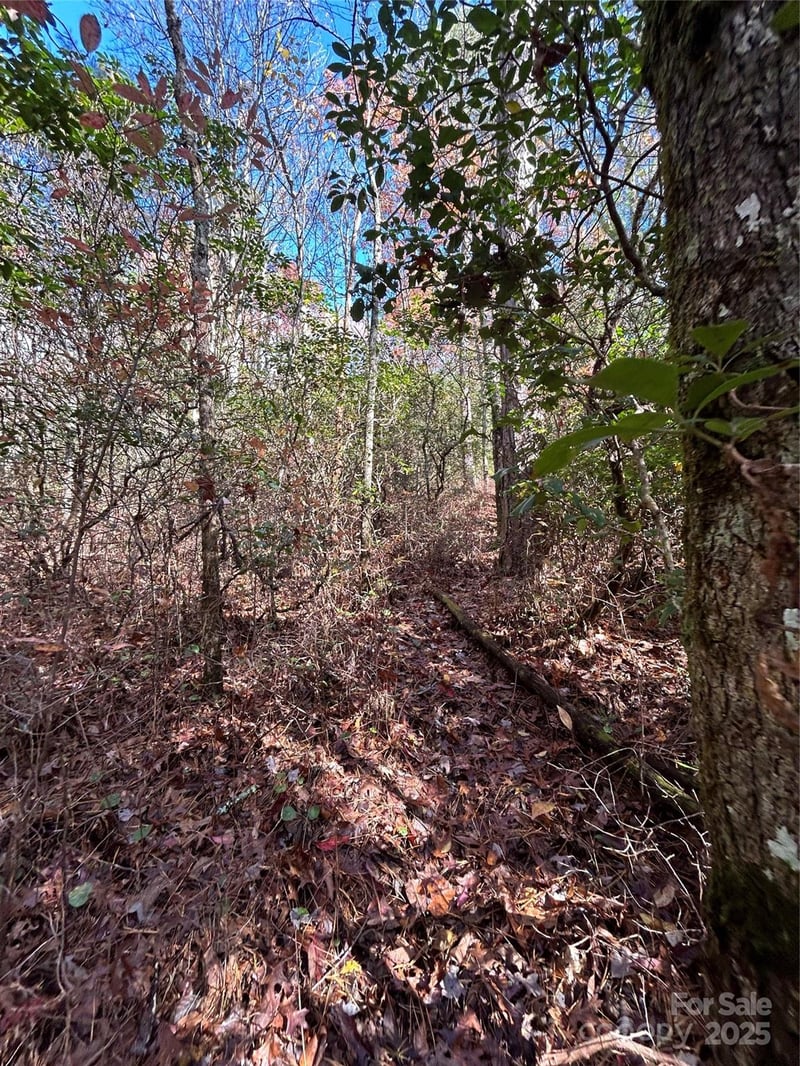 Lot 3 and 4 Oriole Rd, Brevard, NC 28712