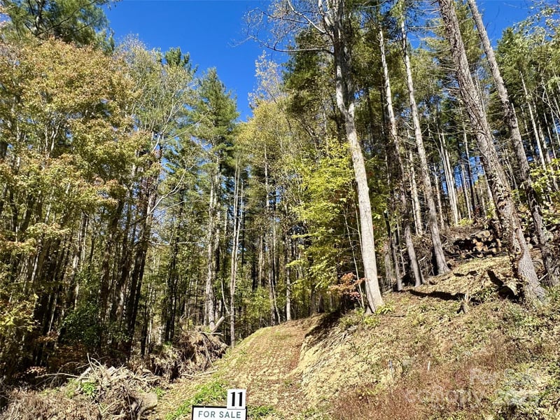 11 Freshwater Cv, Maggie Valley, NC 28751