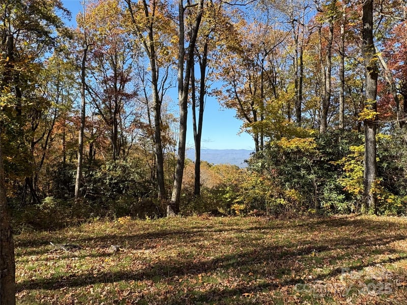45 Trillium Garden Trl Lot 29, Fletcher, NC 28732
