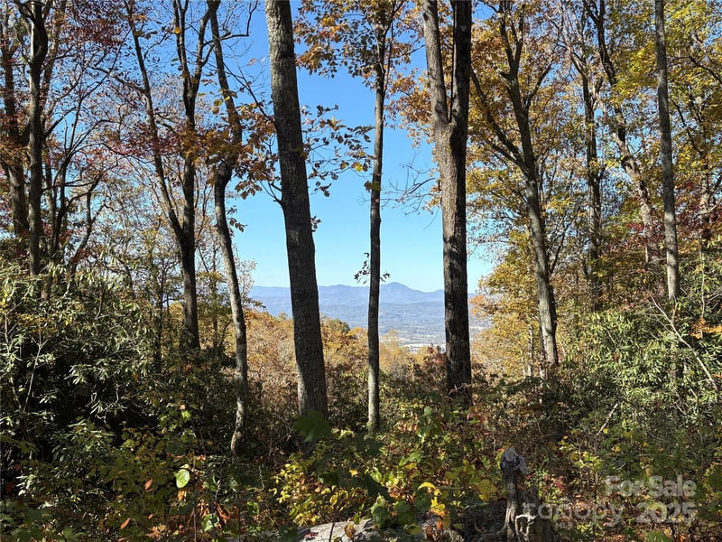 45 Trillium Garden Trl Lot 29, Fletcher, NC 28732
