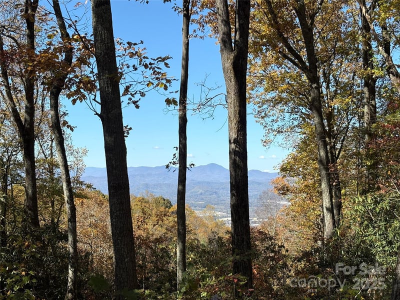 45 Trillium Garden Trl Lot 29, Fletcher, NC 28732