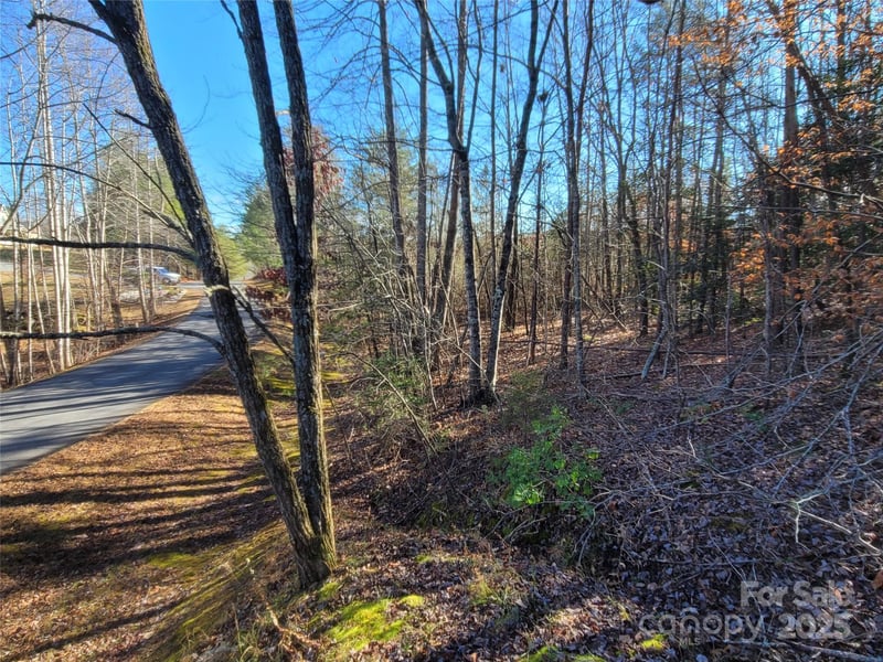 Mcowenben Ps #18, Lake Lure, NC 28746
