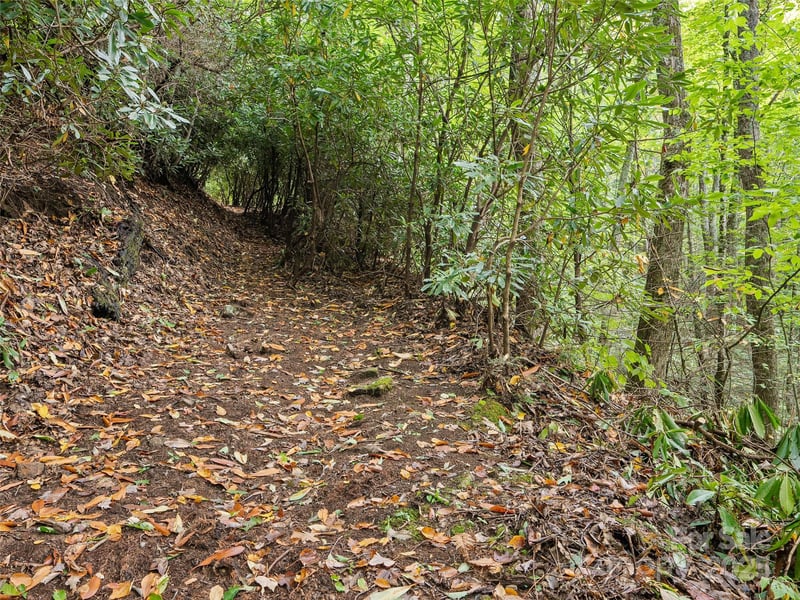 Lot 23 Finlaystone Tc, Waynesville, NC 28786