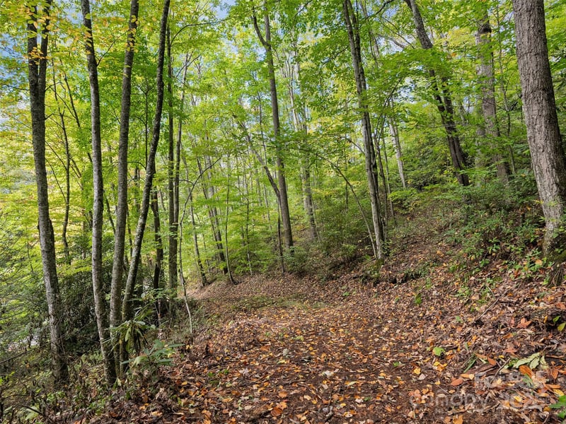 Lot 23 Finlaystone Tc, Waynesville, NC 28786