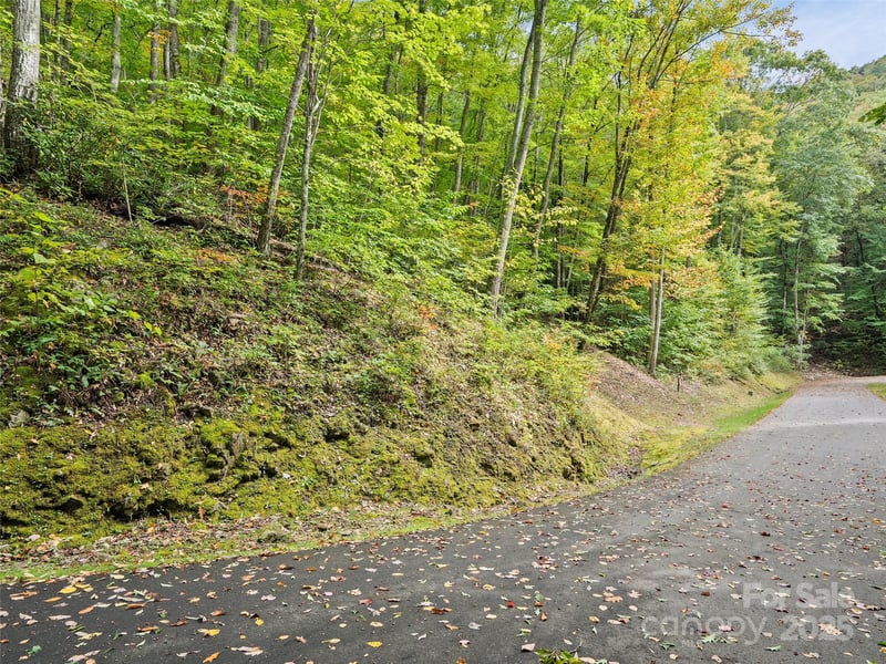 Lot 23 Finlaystone Tc, Waynesville, NC 28786
