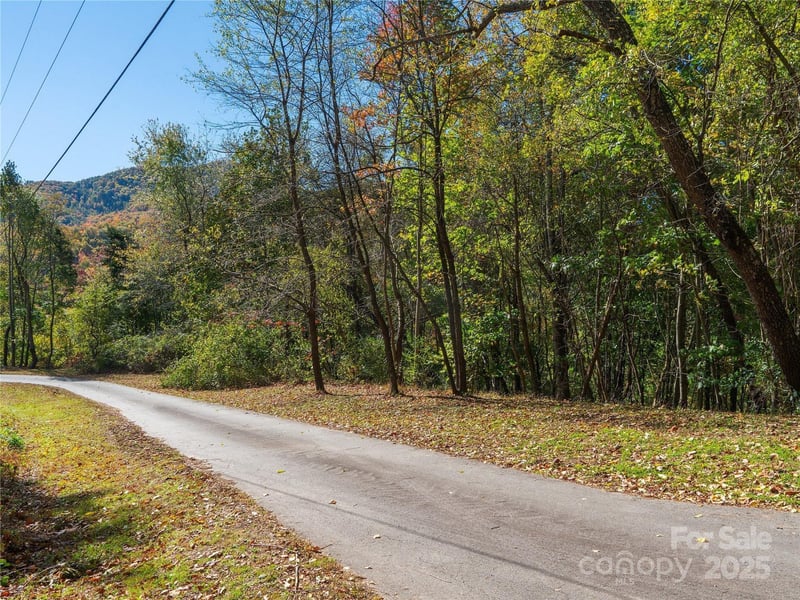 9999 Lovebird Ln #20,19,17,23, Candler, NC 28715