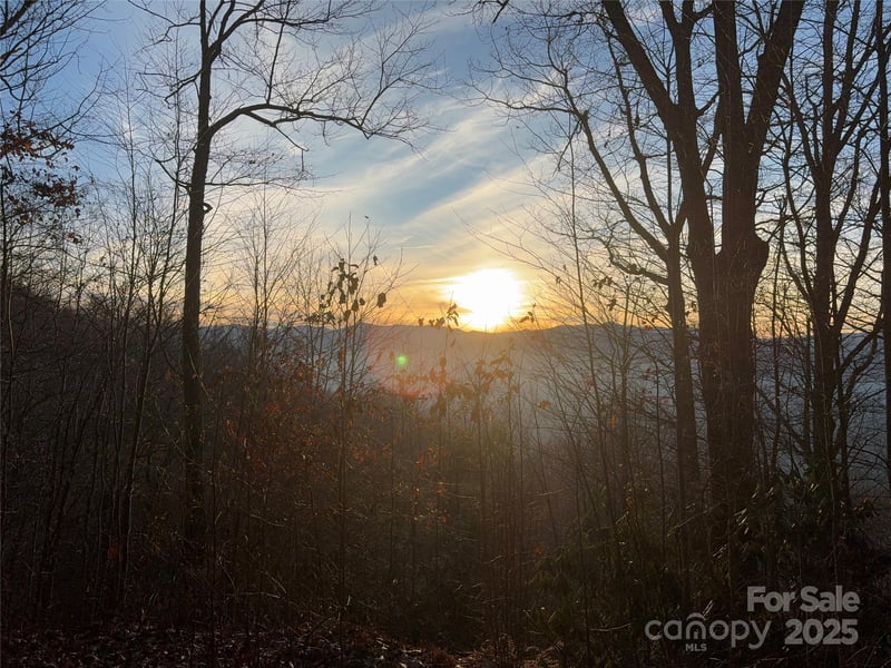 899 Hyacinth Dr, Clyde, NC 28721