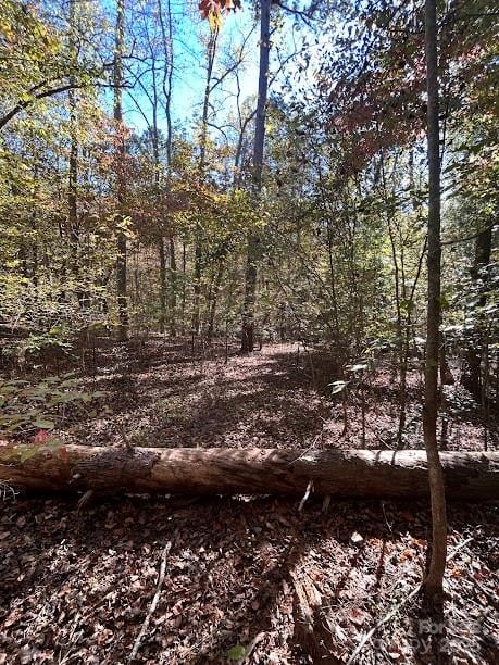 TBD Cross Creek Dr #140, Rutherfordton, NC 28139