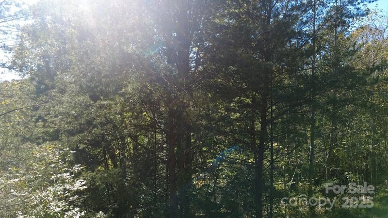 TBD Cross Creek Dr #140, Rutherfordton, NC 28139