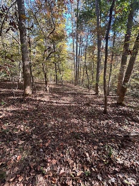 TBD Cross Creek Dr #140, Rutherfordton, NC 28139