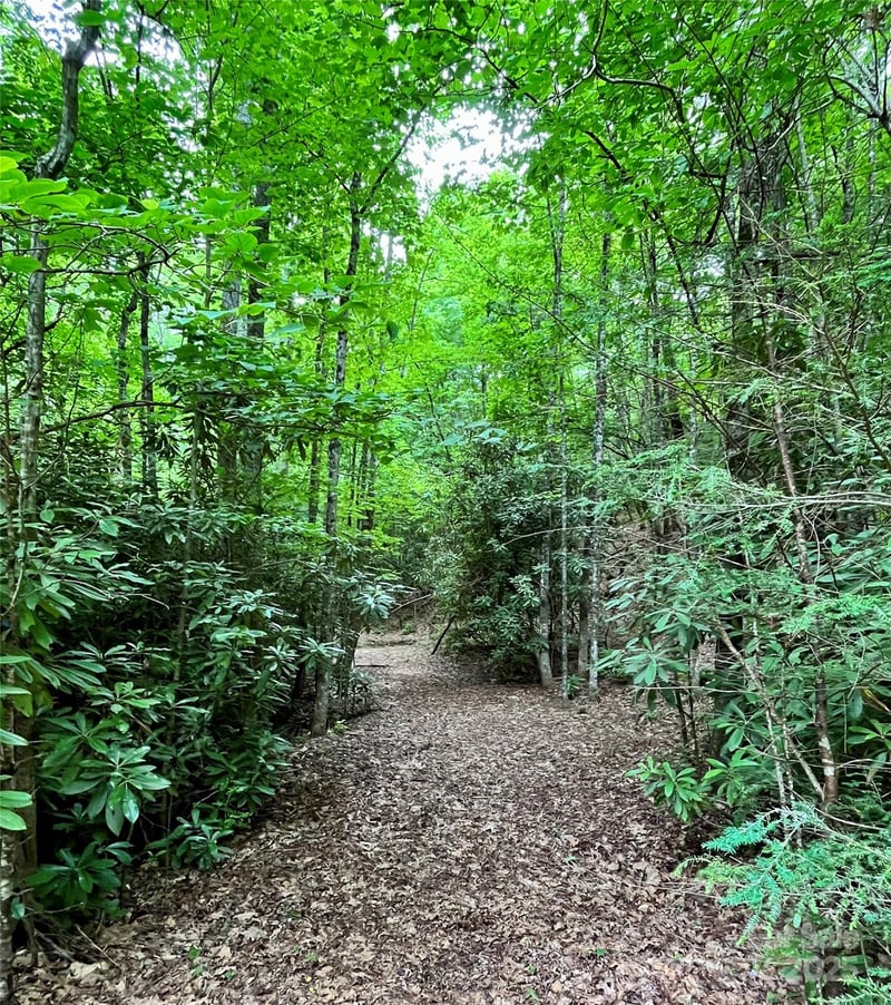 999 Old Spring Rd, Brevard, NC 28712