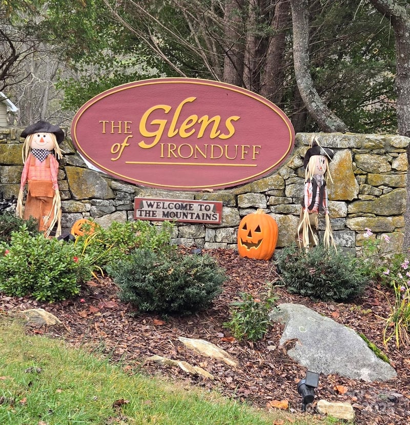 62 Turkey Hollow Ct, Waynesville, NC 28785