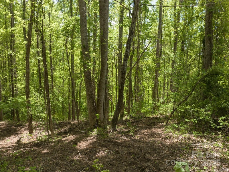 26 Fall Mountain Rd #58, Asheville, NC 28803