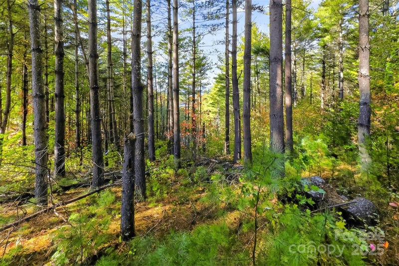 West Point Dr, Nebo, NC 28761