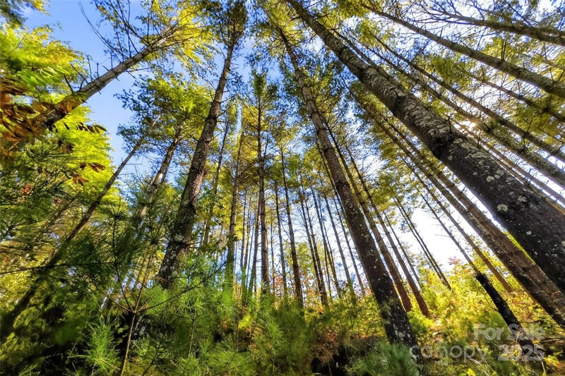West Point Dr, Nebo, NC 28761