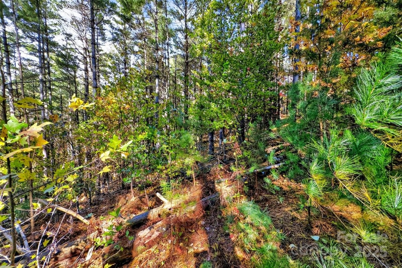 West Point Dr, Nebo, NC 28761