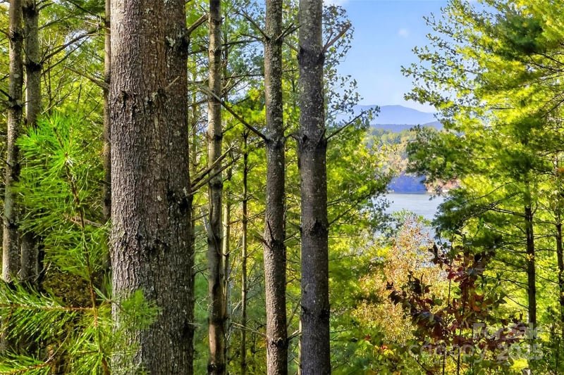 West Point Dr, Nebo, NC 28761