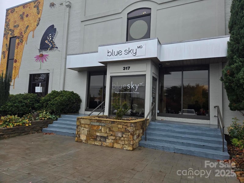 317 King St, Hendersonville, NC 28792