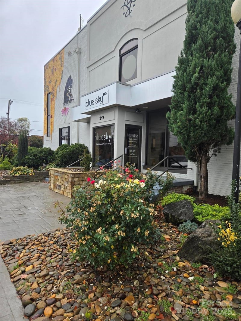 317 King St, Hendersonville, NC 28792