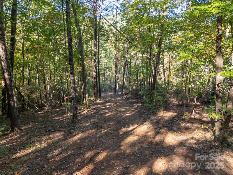3298 Buffalo Creek Rd, Lake Lure, NC 28746