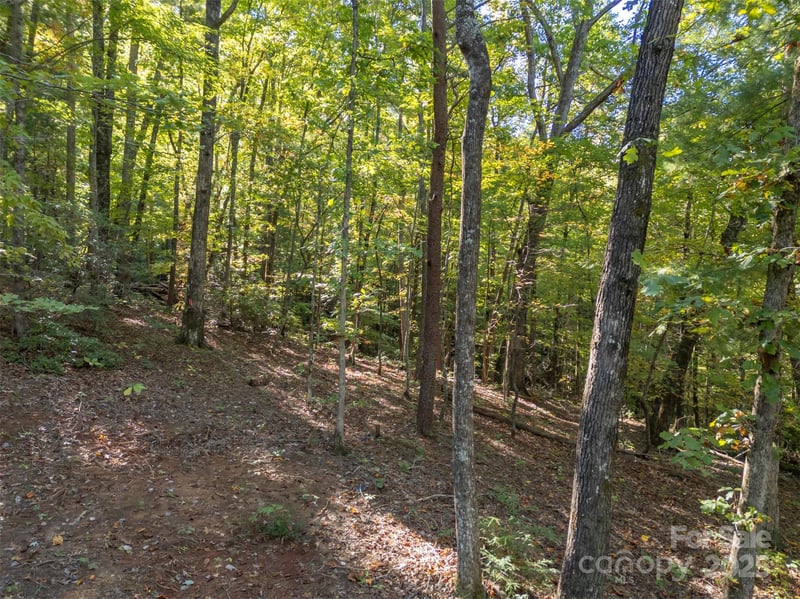 3298 Buffalo Creek Rd, Lake Lure, NC 28746