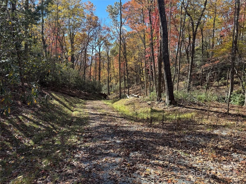 00 Normcol Rd, Pisgah Forest, NC 28768