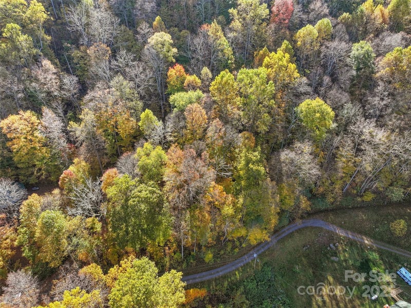 Lot 316 Mcguires Rg #316, Waynesville, NC 28786