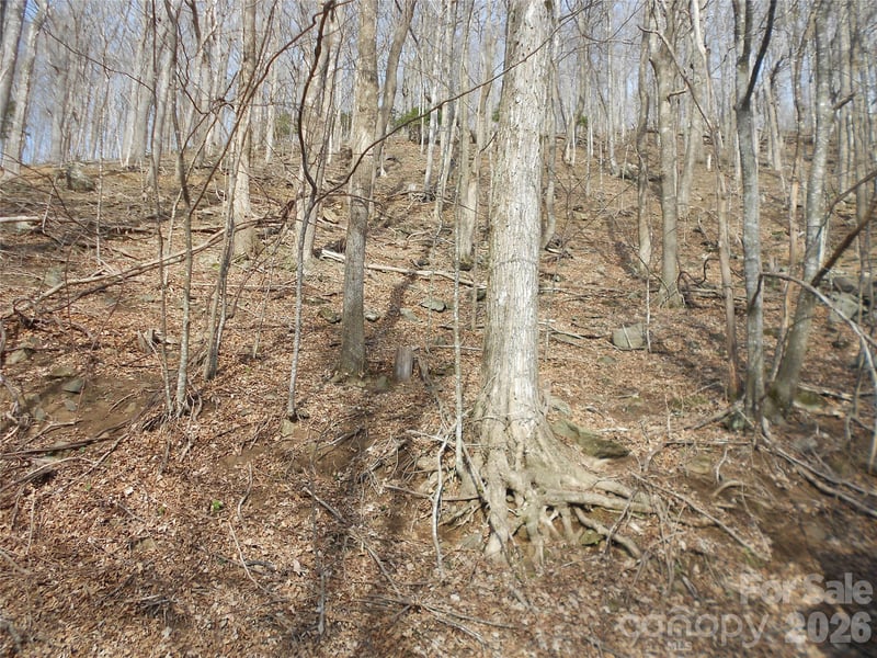 0000 Abbie Trl, West Jefferson, NC 28694