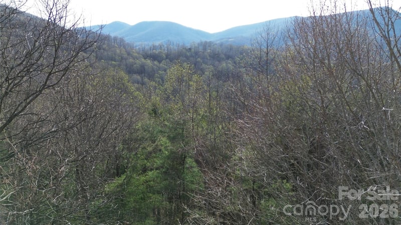 0000 Abbie Trl, West Jefferson, NC 28694
