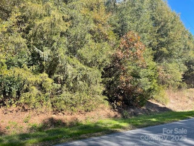 Deep Springs Rd, Peachland, NC 28133