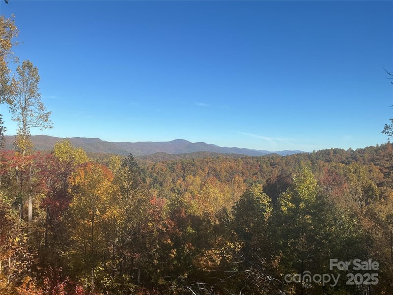 178 Tablerock Dr, Saluda, NC 28773