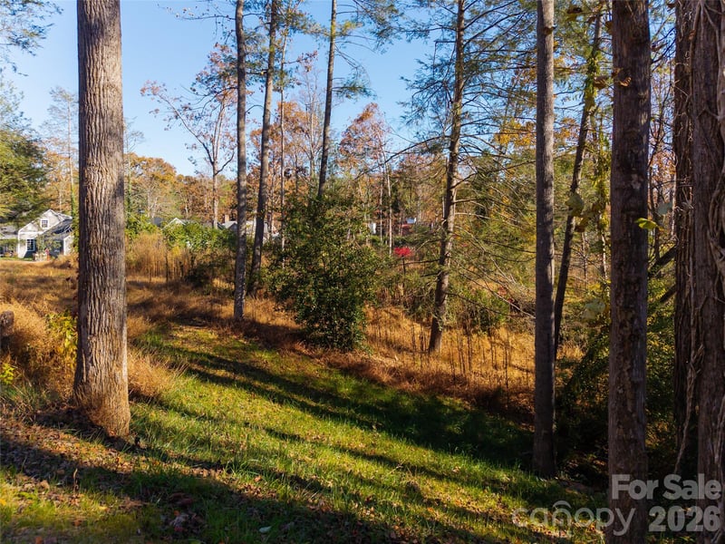 50 Forest Rd, Asheville, NC 28803