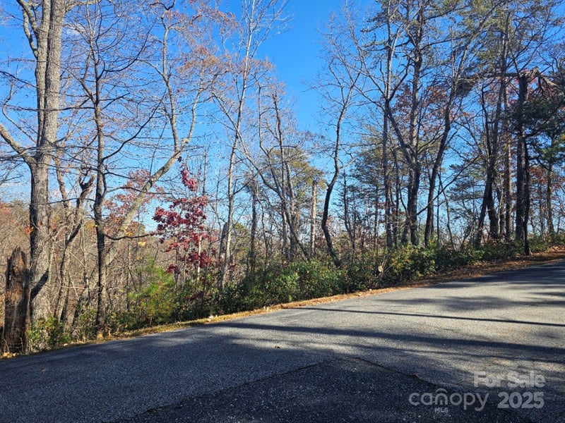 Lure Ridge Dr #1, Lake Lure, NC 28746