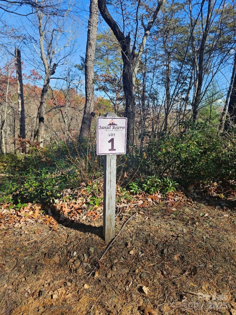 Lure Ridge Dr #1, Lake Lure, NC 28746