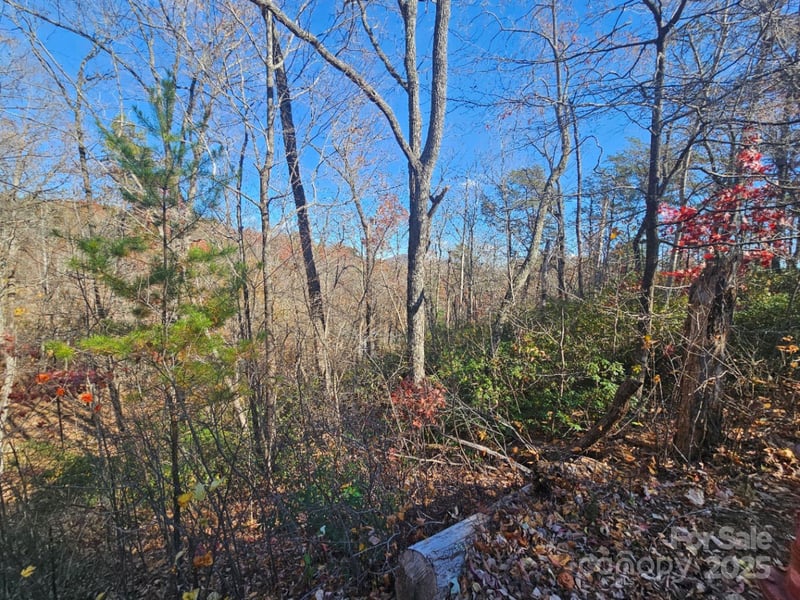 Lure Ridge Dr #1, Lake Lure, NC 28746