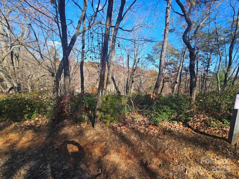 Lure Ridge Dr #1, Lake Lure, NC 28746