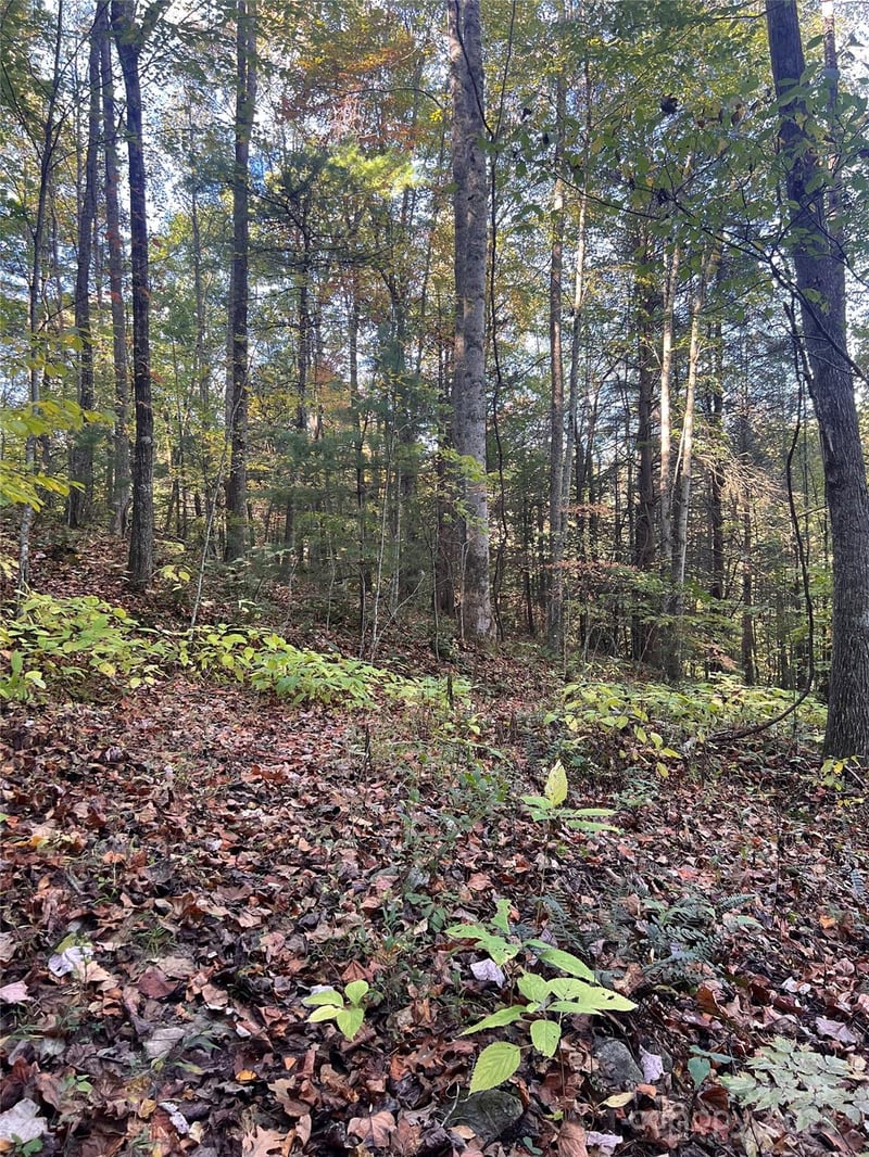 9999 Fox Town Rd, Hot Springs, NC 28743