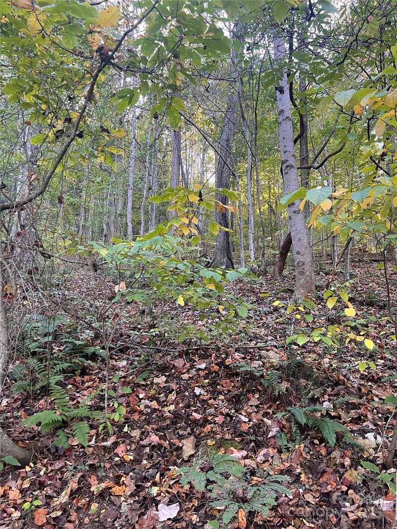 9999 Fox Town Rd, Hot Springs, NC 28743