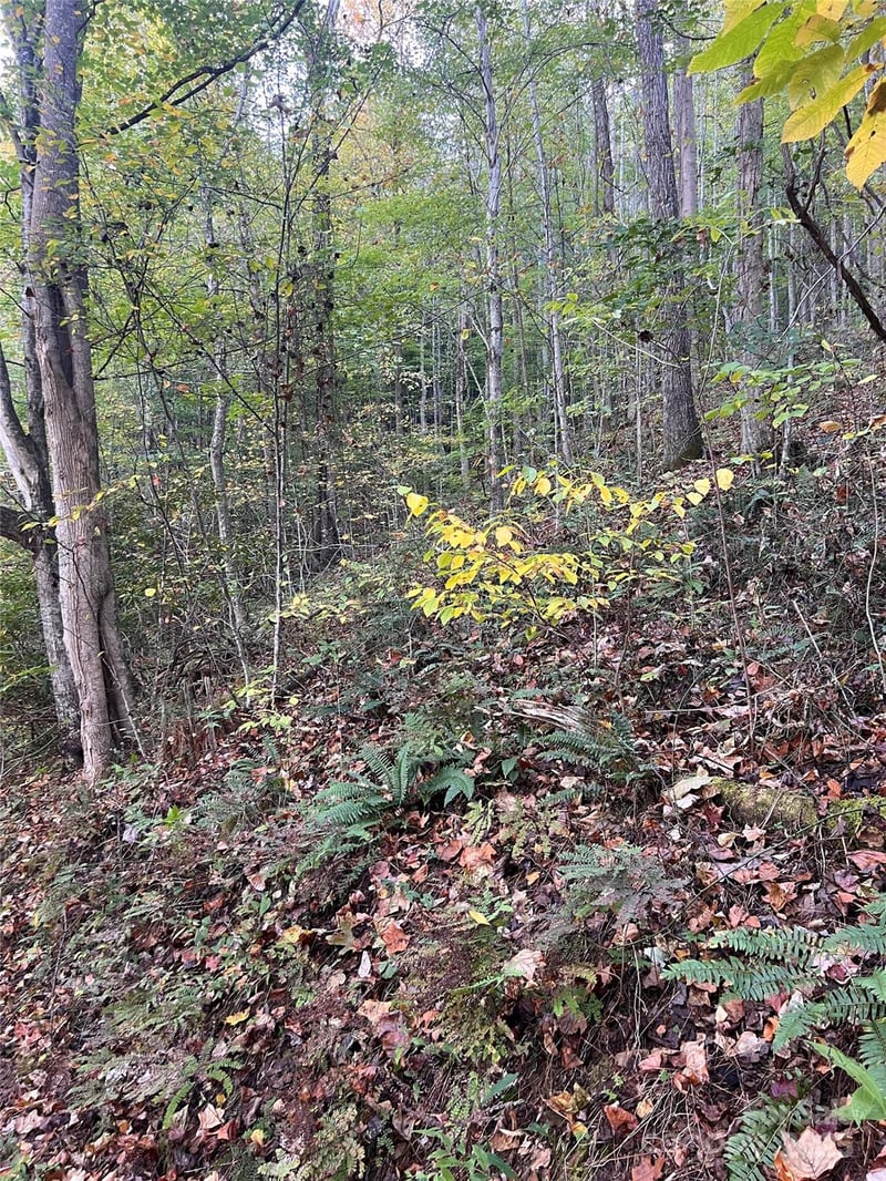9999 Fox Town Rd, Hot Springs, NC 28743